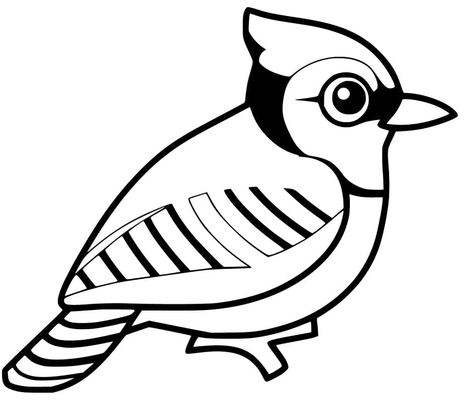 Blue Jay Coloring Pages - Free Printable Coloring Pages for Kids