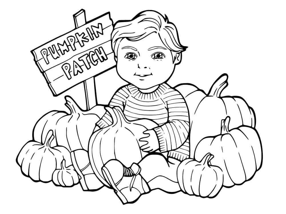 Little Boy and Pumpkin Patch