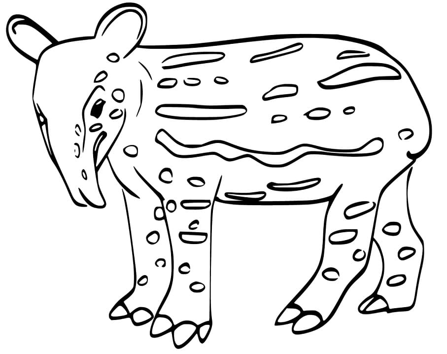 Tapir 1 Coloring Page - Free Printable Coloring Pages for Kids