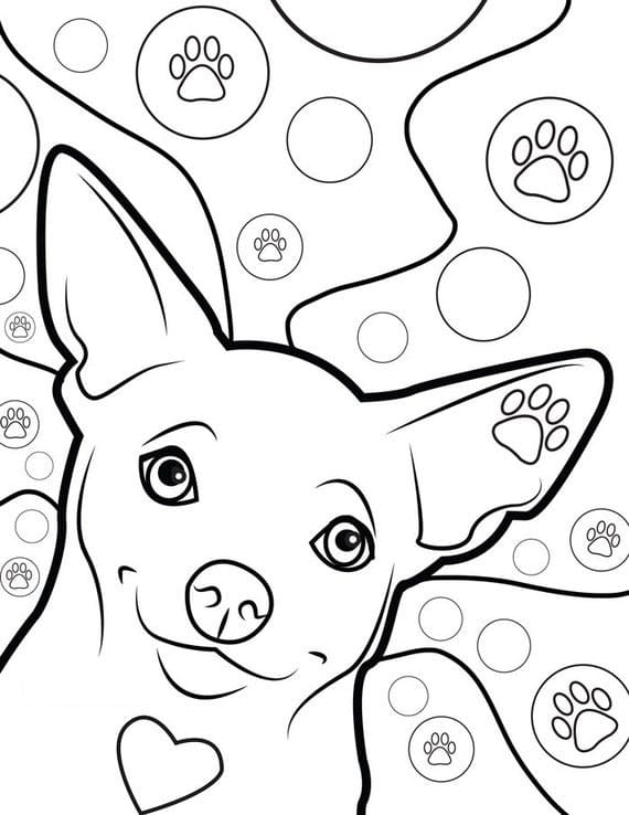 Chihuahua Dog Coloring Pages