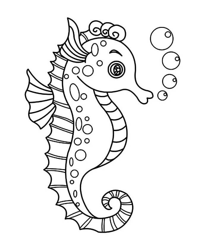 Lovely Seahorse