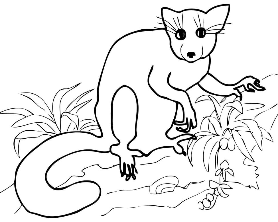 Cartoon Aye Aye Coloring Page - Free Printable Coloring Pages for Kids