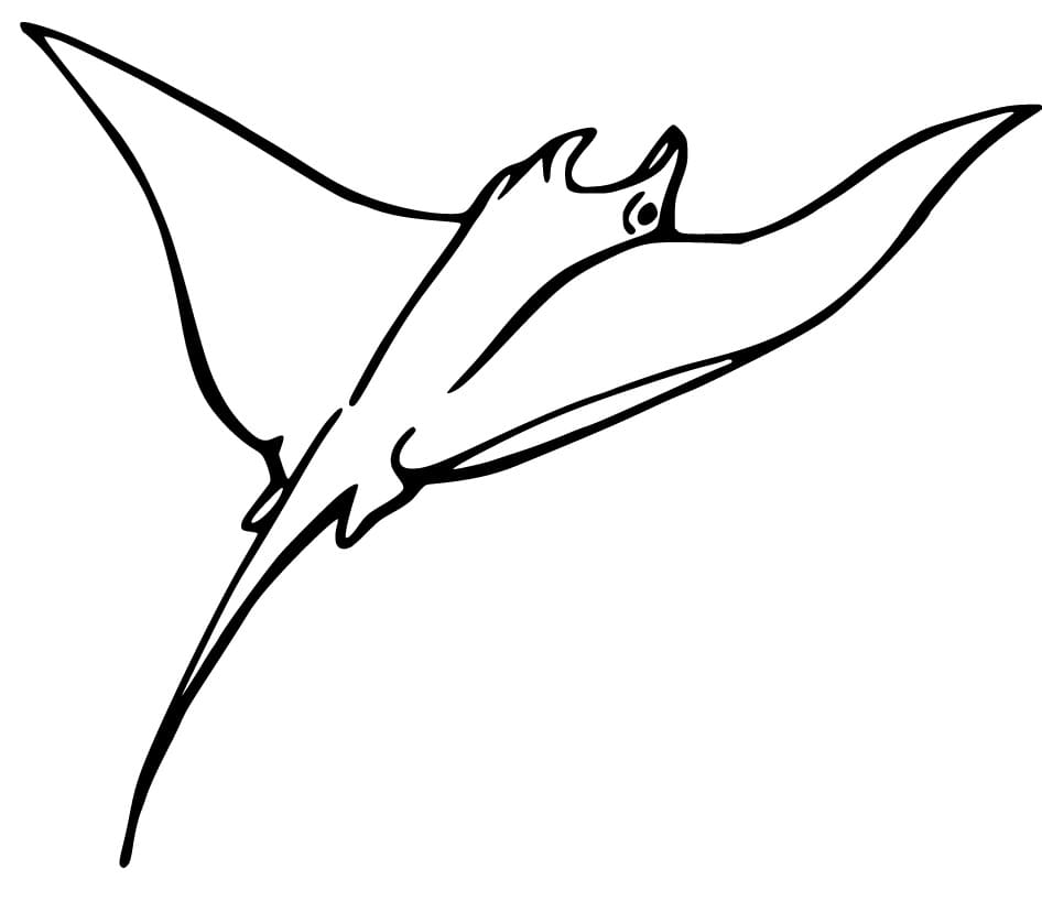 Manta Ray Coloring Pages - Free Printable Coloring Pages for Kids