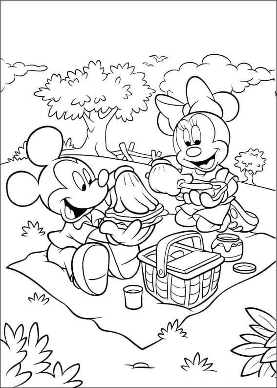 Mickey and Minnie on Picnic