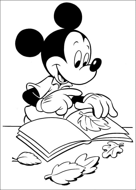 Mickey with Book and Leaves
