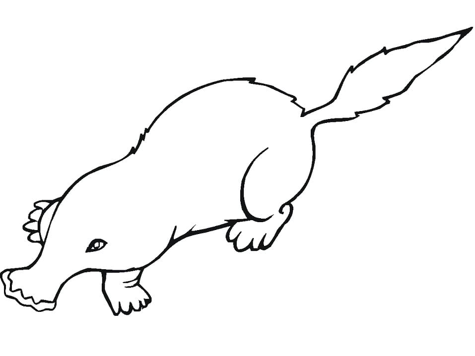 Mole 1 Coloring Page - Free Printable Coloring Pages for Kids