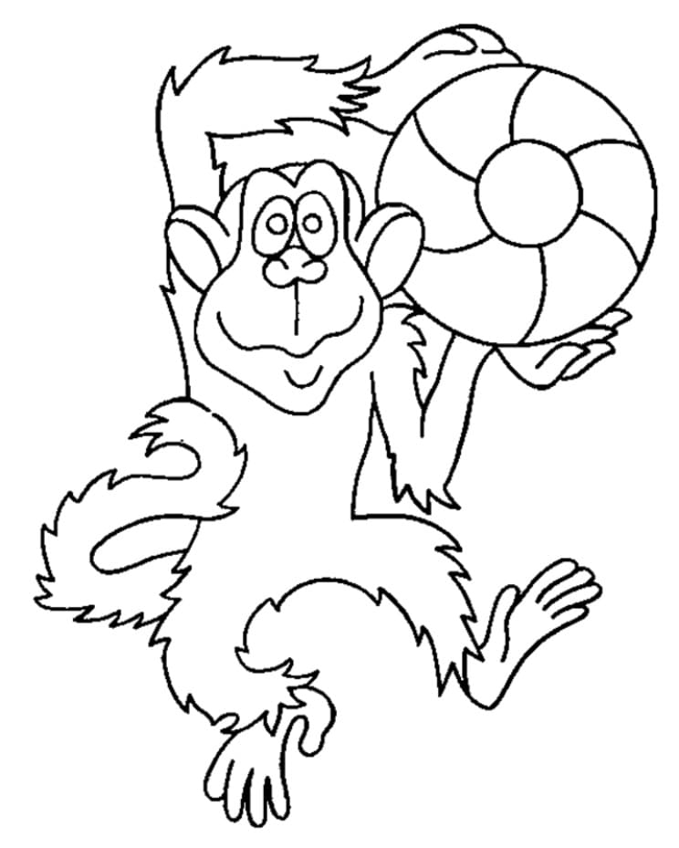 Monkey with a Ball