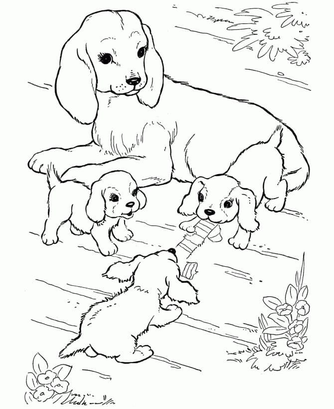 mother dog and puppies coloring page free printable coloring pages for kids