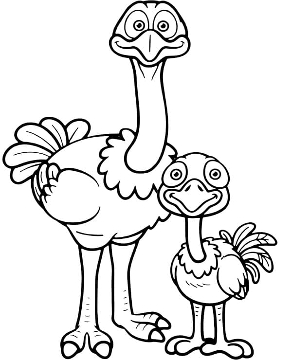 free-printable-ostrich-coloring-pages-for-kids