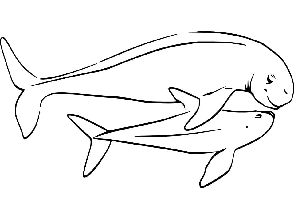 Mother and Baby Porpoise Coloring Page - Free Printable Coloring Pages