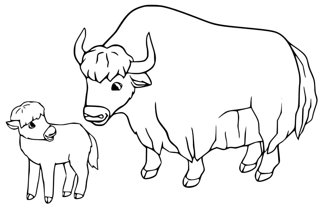 yak-coloring-page-for-kids