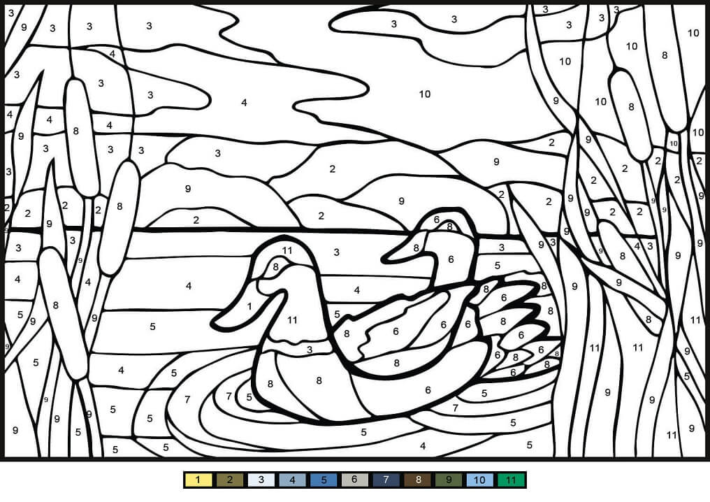 Mullard Ducks Color by Number
