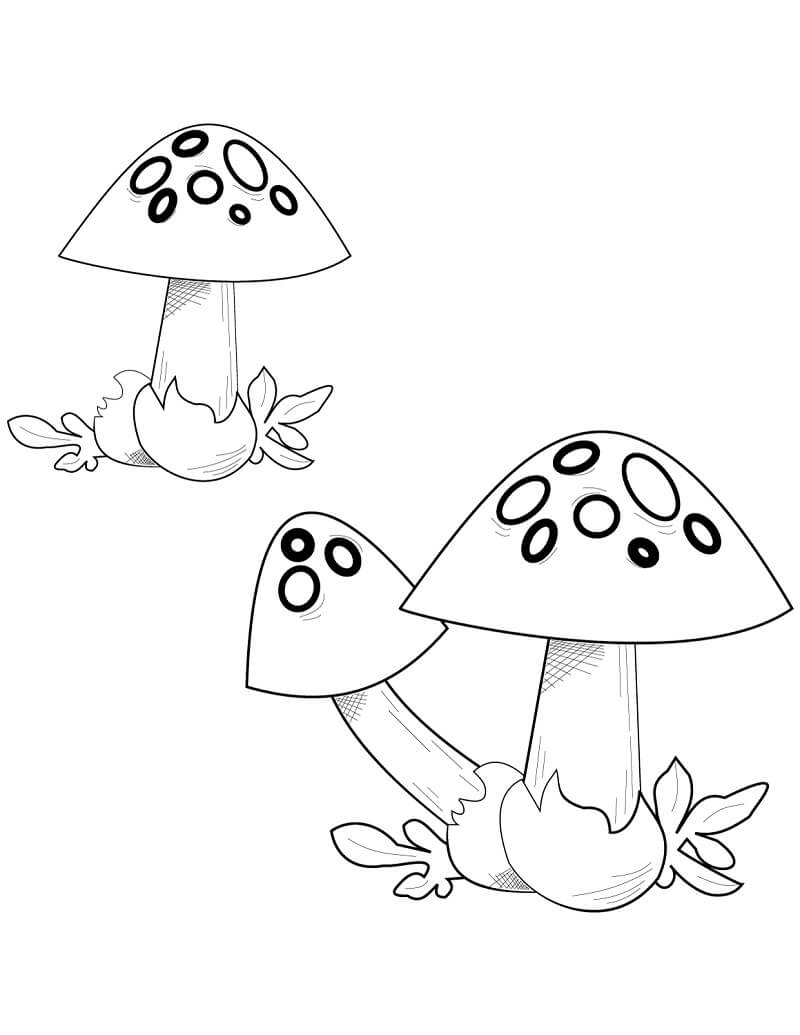Mushrooms 7 Coloring Page Free Printable Coloring Pages for Kids