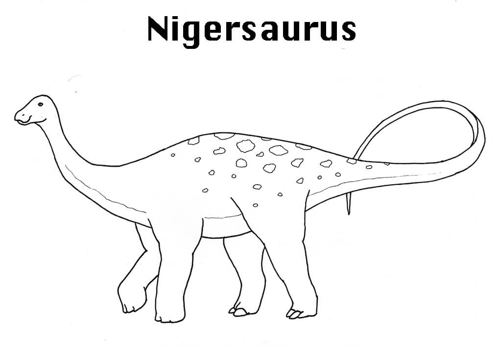 Nigersaurus Dinosaur