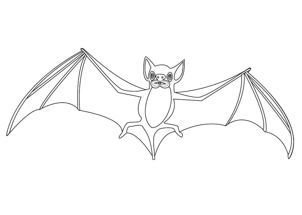 Normal Bat 1