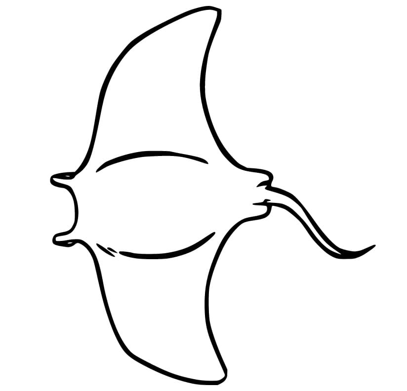 Manta Ray Coloring Pages - Free Printable Coloring Pages for Kids