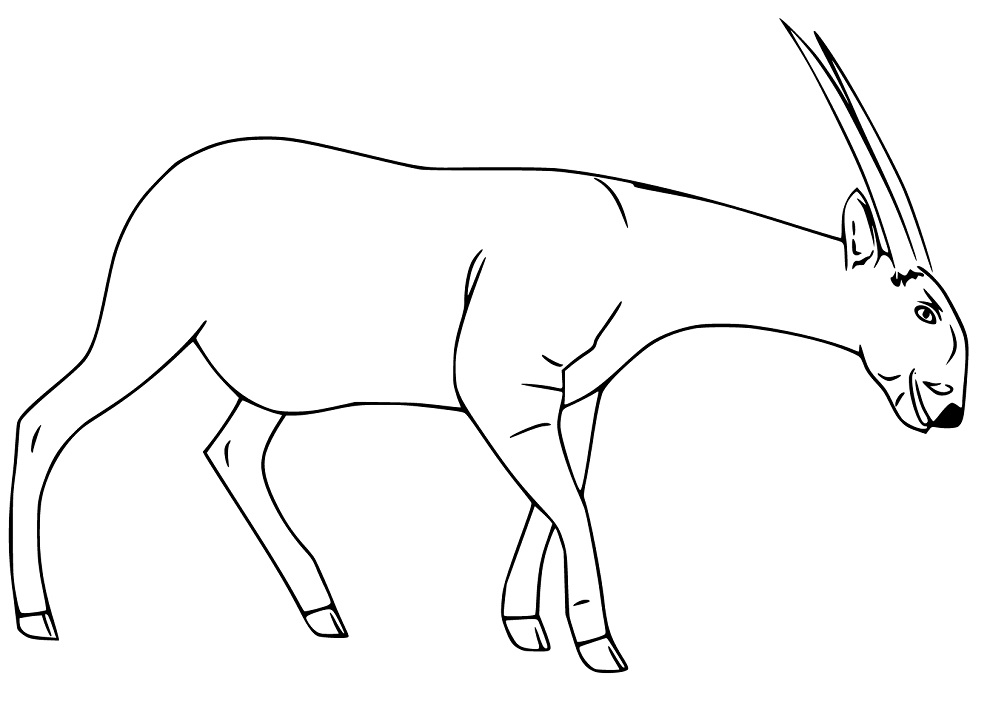 Saola Coloring Pages - Free Printable Coloring Pages for Kids