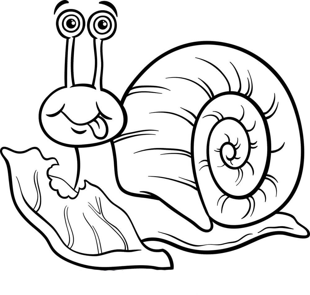 Normal Snail Coloring Page   Free Printable Coloring Pages for Kids