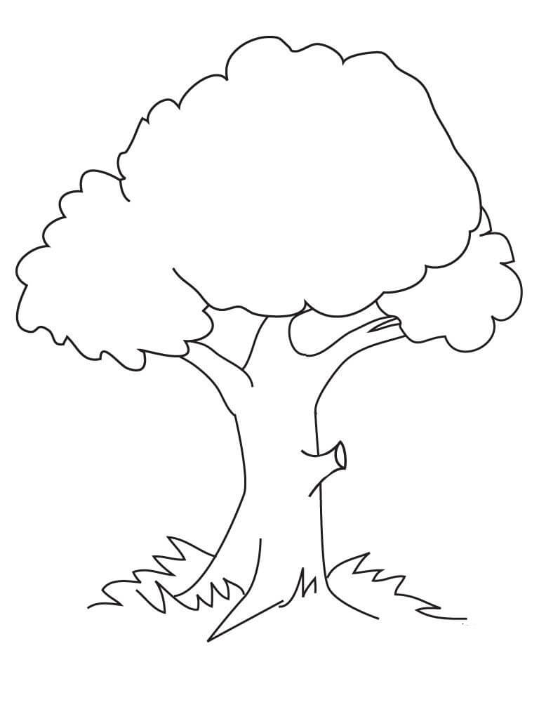 Normal Tree Coloring Page   Free Printable Coloring Pages for Kids