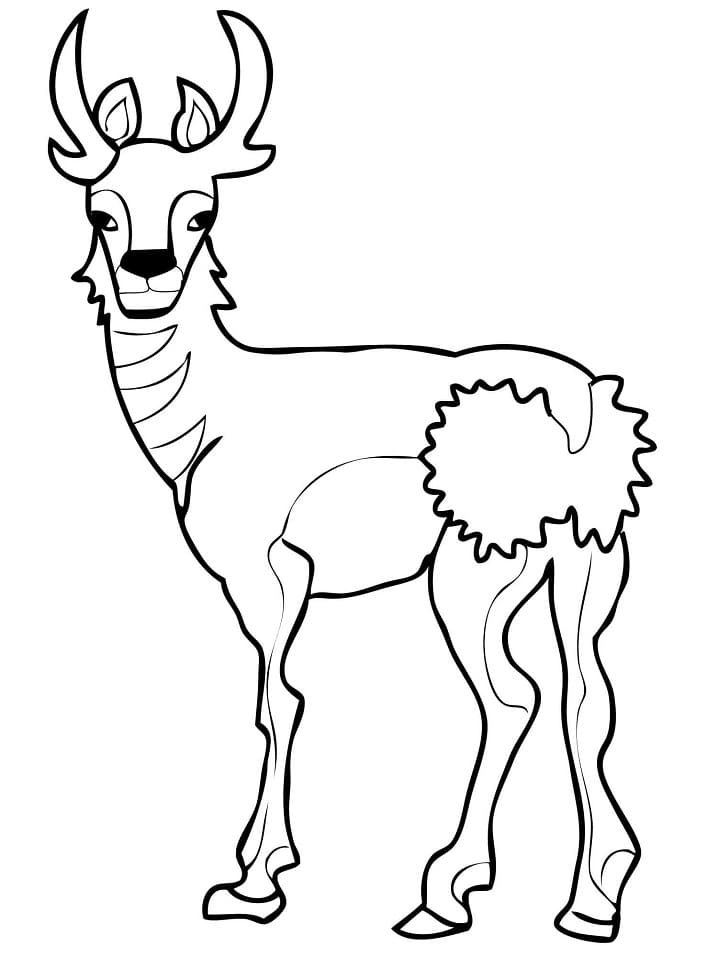 Africa Sable Antelope Coloring Page - Free Printable Coloring Pages for