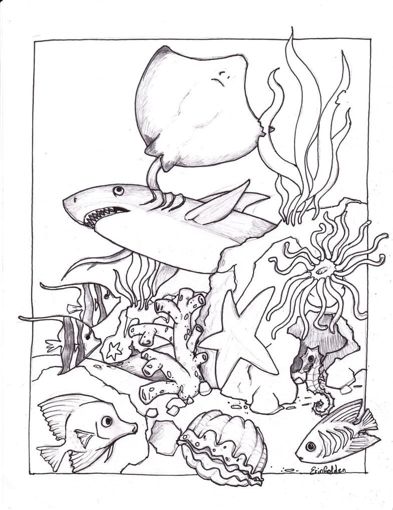 Ocean Creatures Coloring Page   Free Printable Coloring Pages for Kids