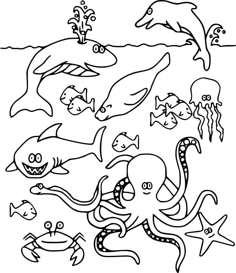 Ocean Life to Color