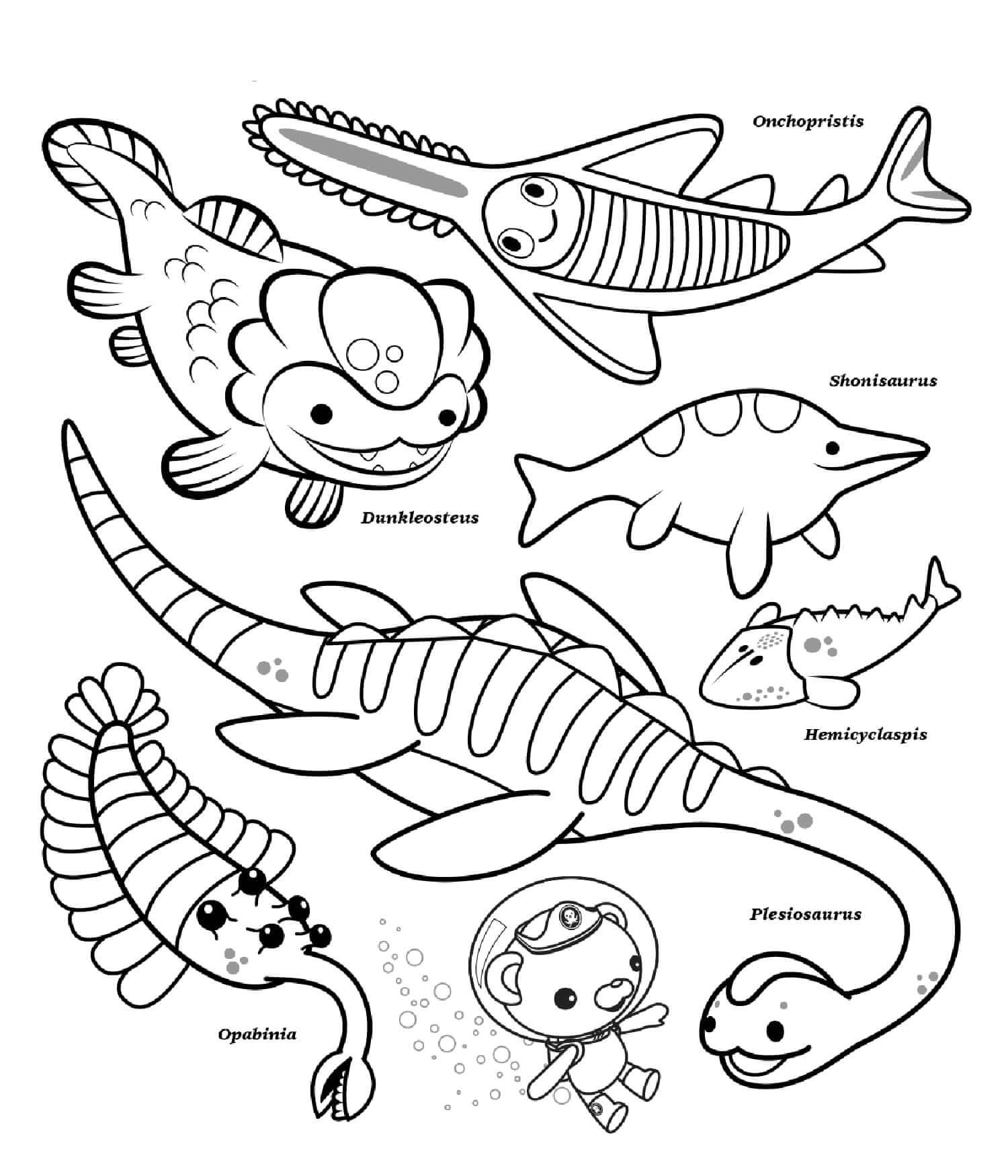 Octonauts Ocean Creatures Coloring Page Free Printable Coloring Pages 