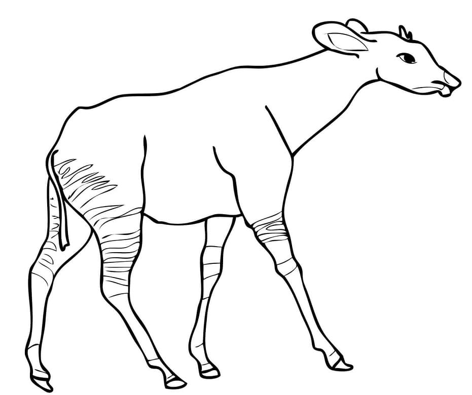 Two Okapis Coloring Page - Free Printable Coloring Pages for Kids