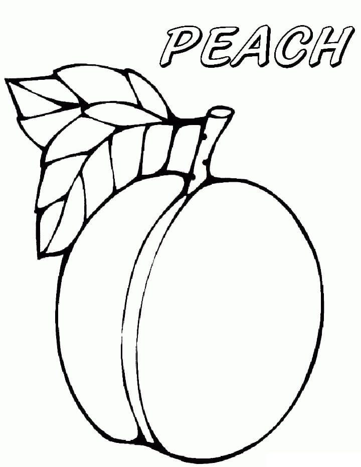 One Peach Fruit Coloring Page Free Printable Coloring Pages For Kids