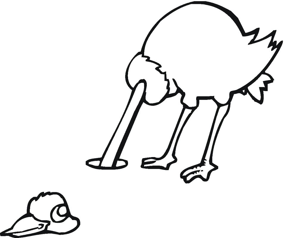 Ostrich 3 Coloring Page - Free Printable Coloring Pages for Kids