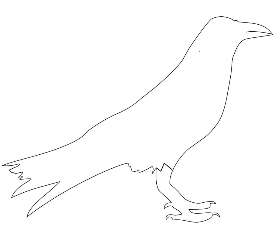 Outline Raven Coloring Page Free Printable Coloring Pages for Kids