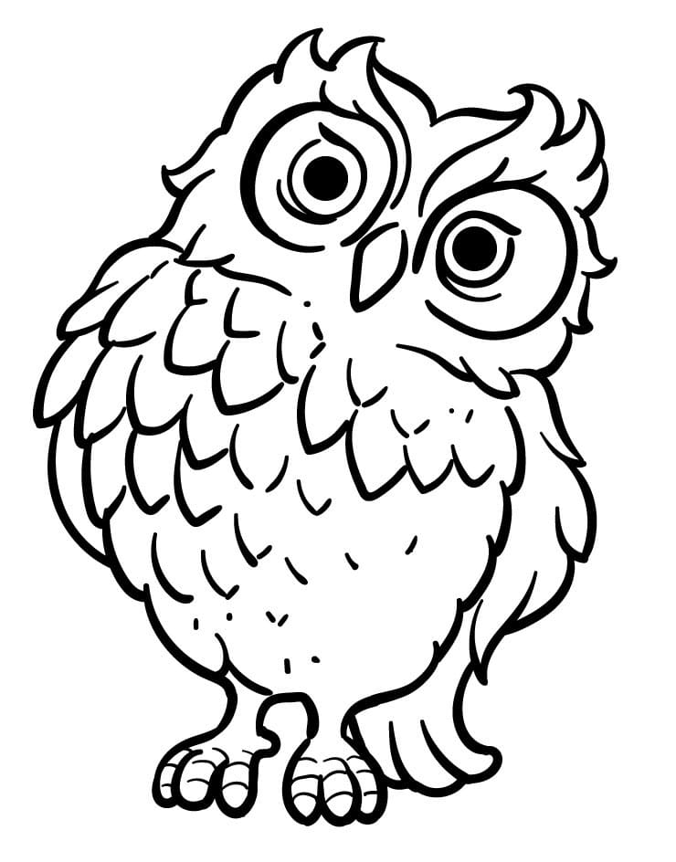 Owl Free Printable
