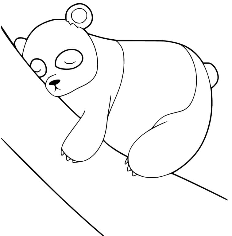 Panda is Sleeping
