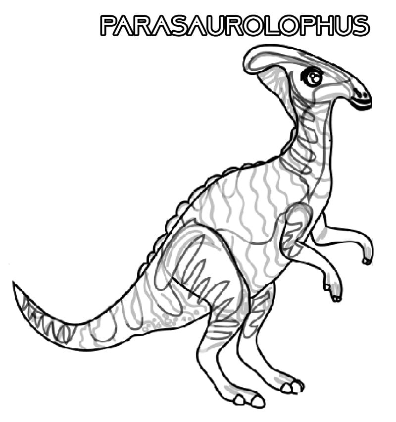 Parasaurolophus 12