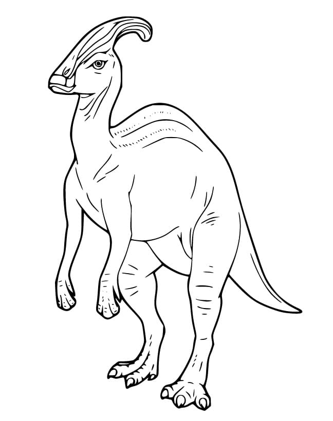 Parasaurolophus 5