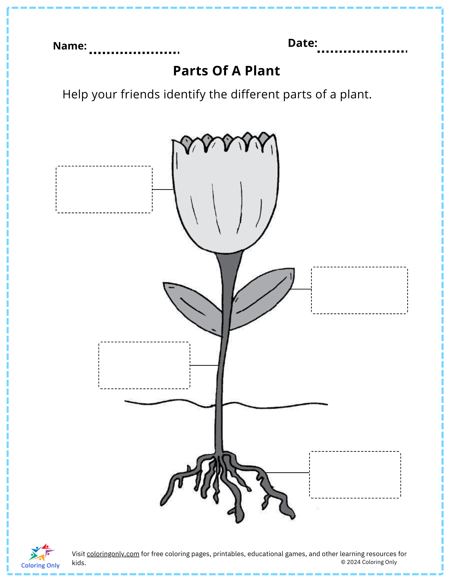 Parts Of A Plant Free Printable Worksheet