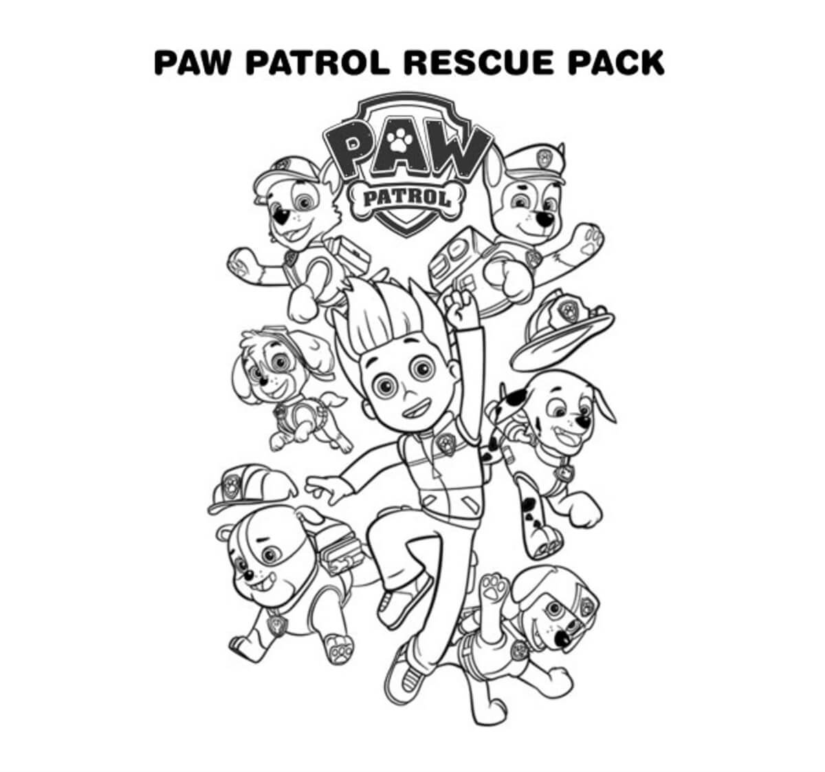 Paw Patrol Ryder Rescue Pack
