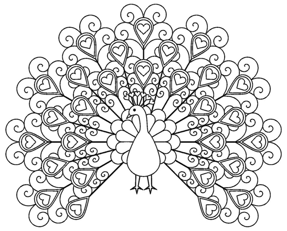 printable peacock coloring pages