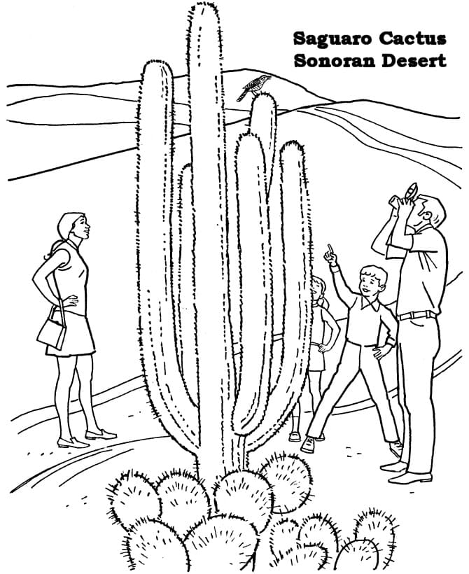 People in the Desert