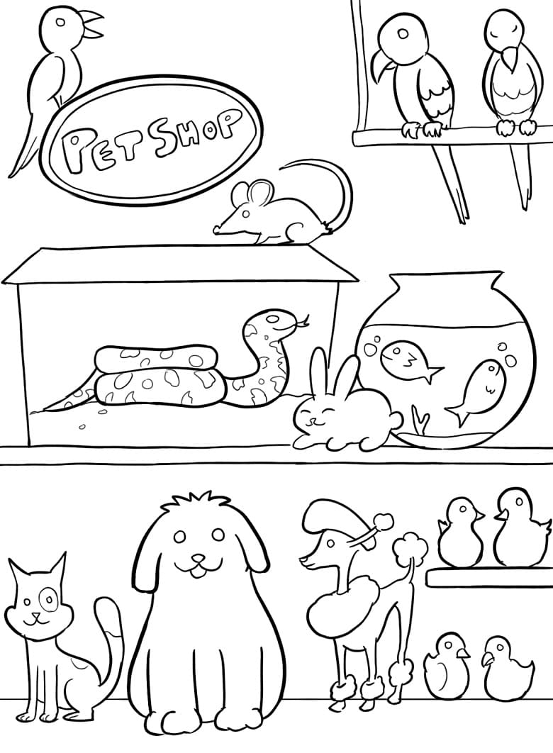 pet-shop-store-drawing
