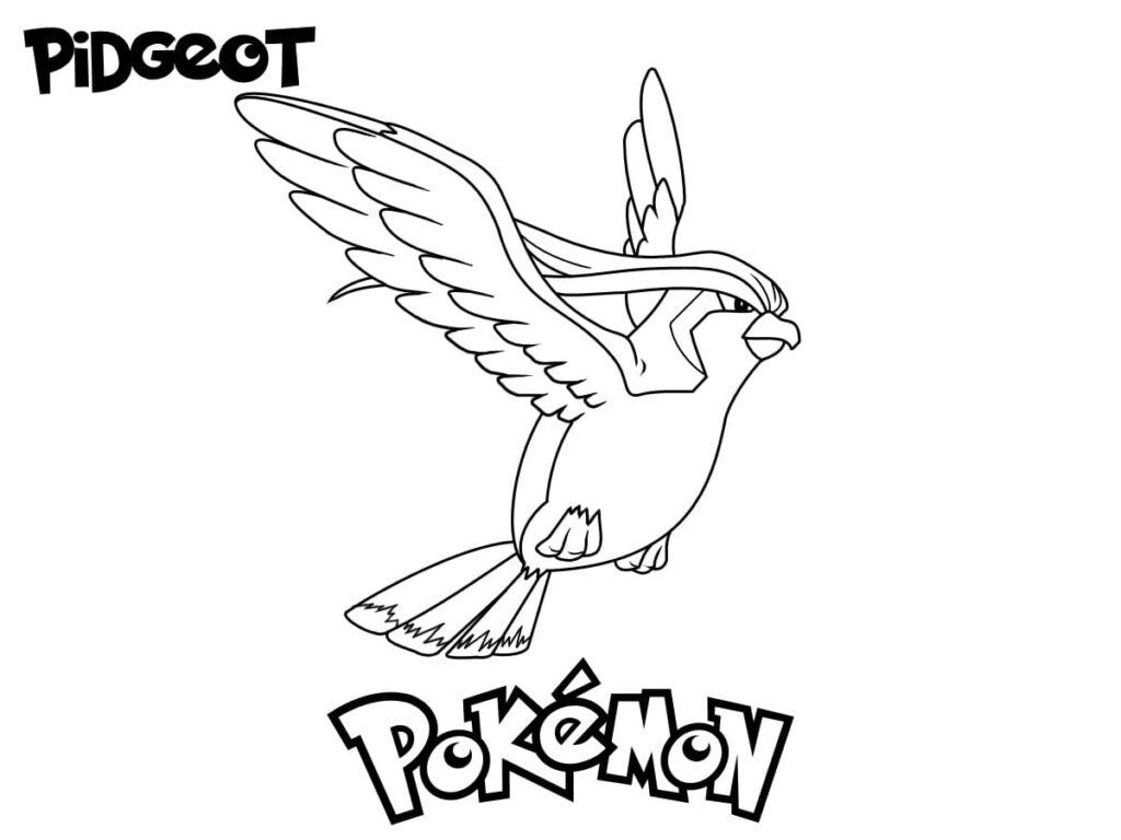 Pokémon Pidgeot