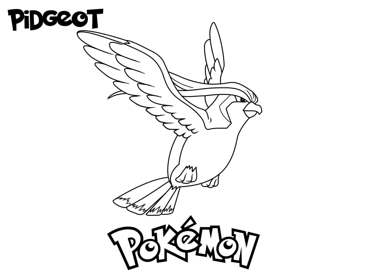 Pidgeot Pokemon