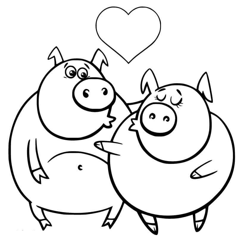 Pig Couple
