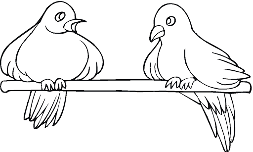 Pigeon Friendship