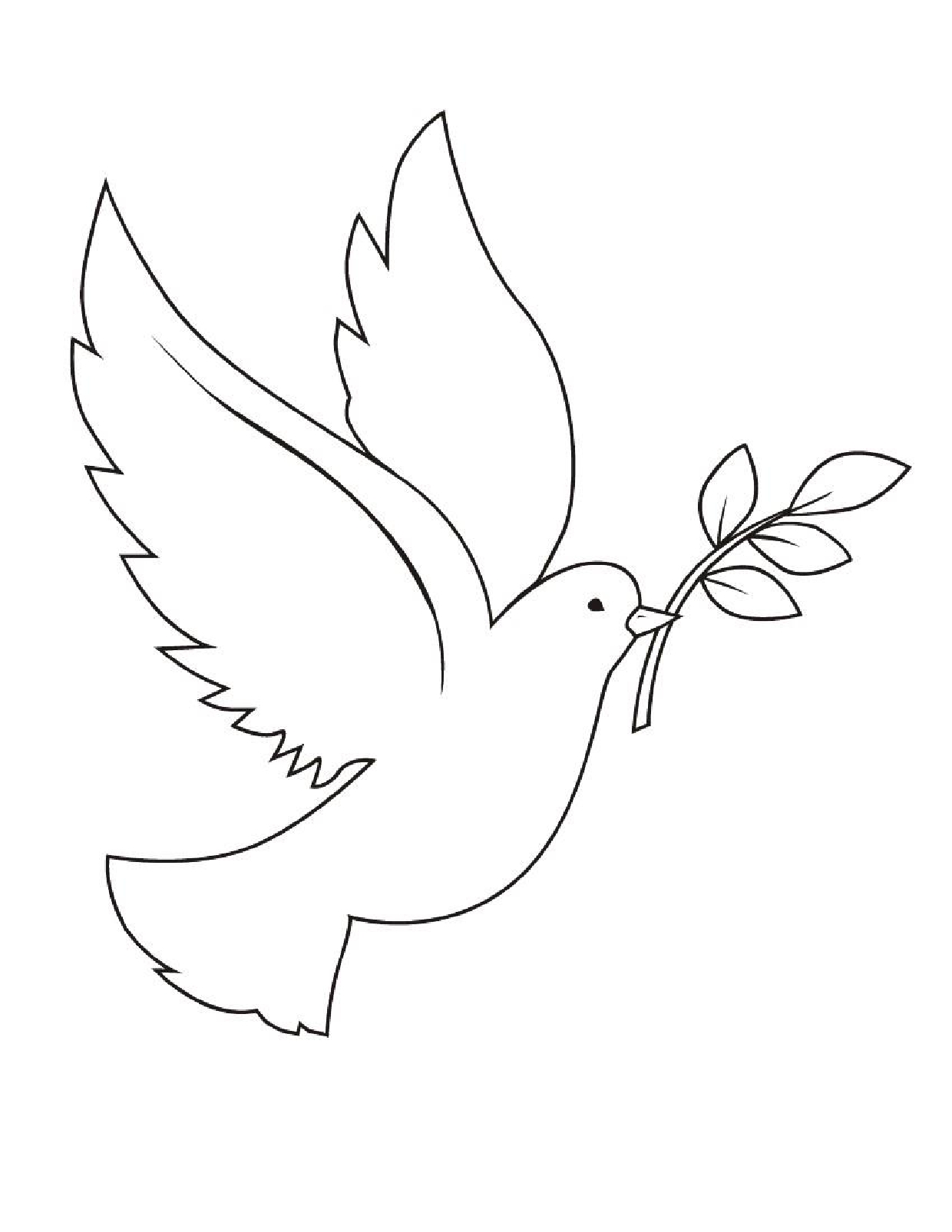 dove bird drawing for kids