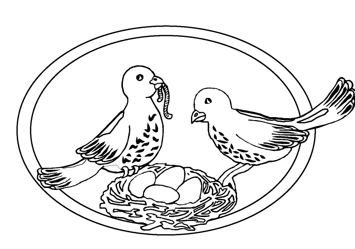 Pigeons on their nest Coloring Page - Free Printable Coloring Pages for