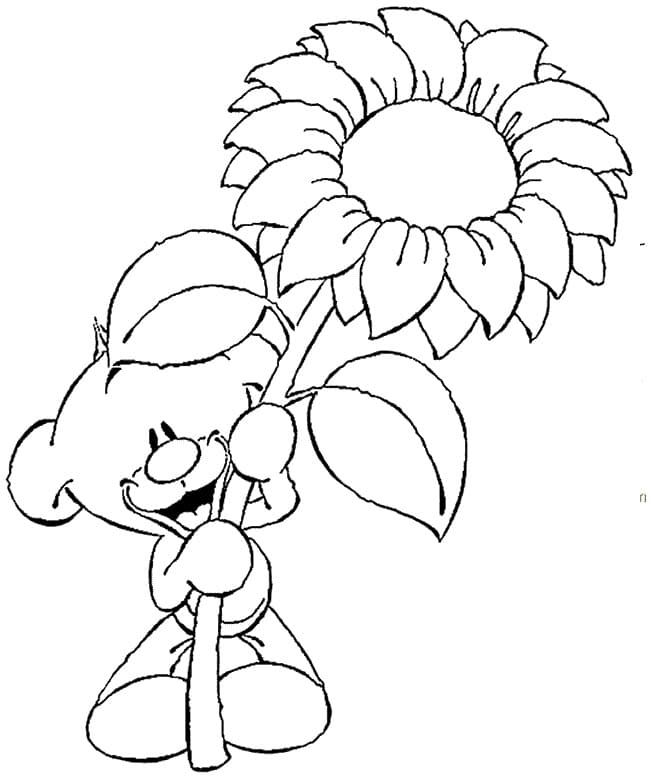 Pimboli with Sunflower