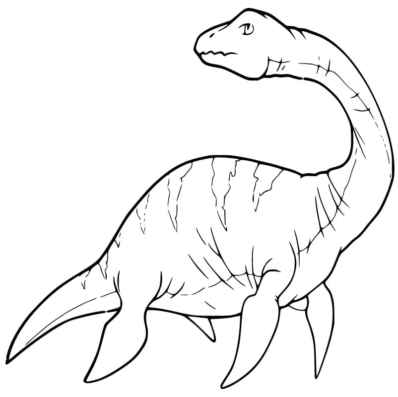 Plesiosaurus Printable