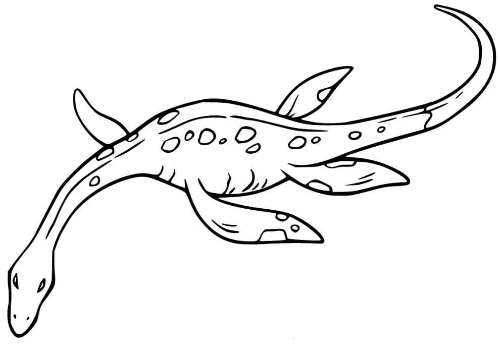 Plesiosaurus Swimming