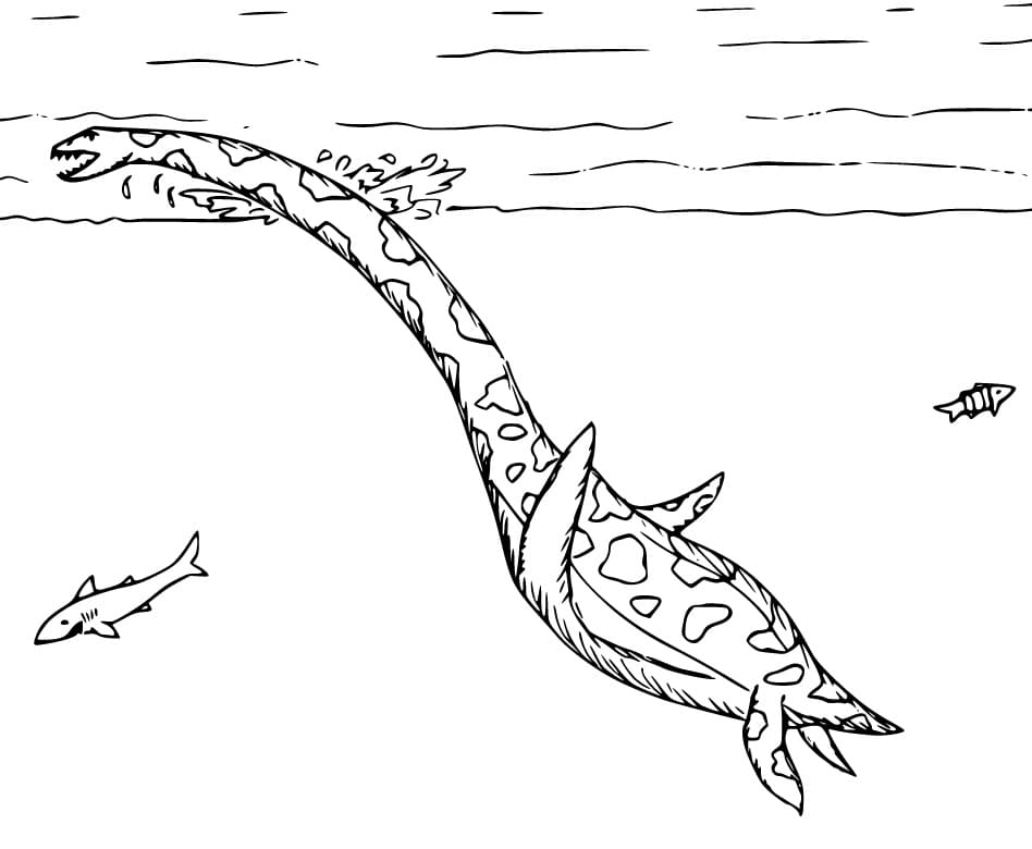 Plesiosaurus Swims